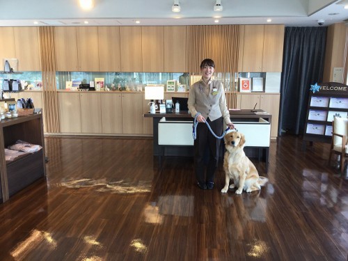 『愛犬の床』を施工しました